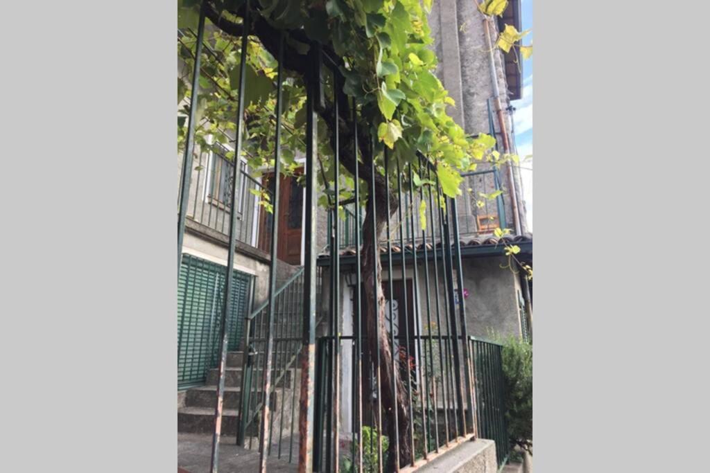 Nel Set Di Piccolo Mondo Antico Villa Viola Valsolda Екстериор снимка